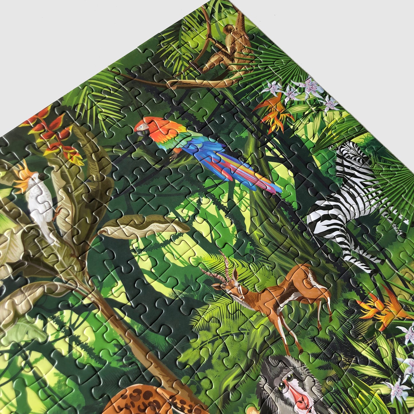 Puzzle de la jungle