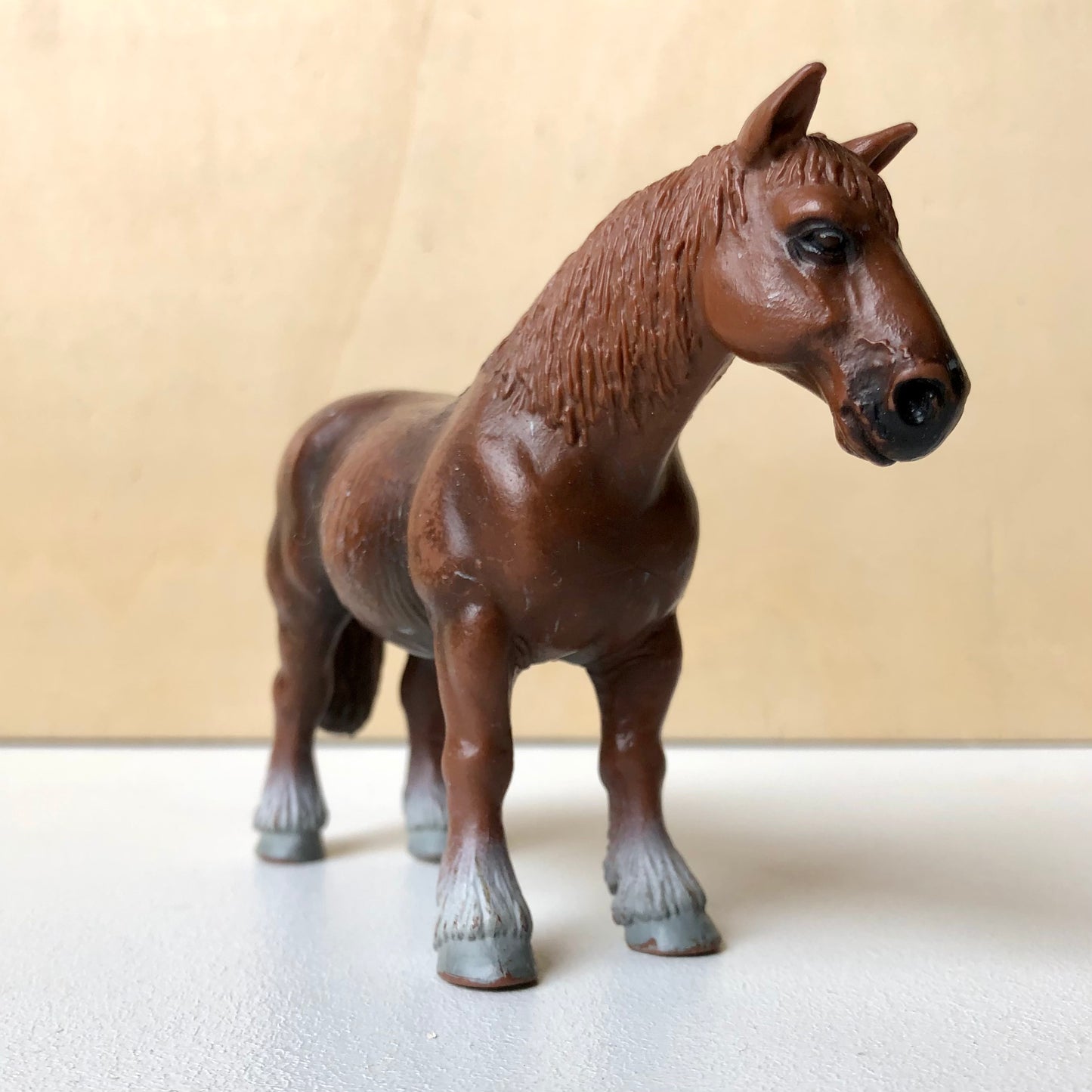 Hongre Cheval de trait