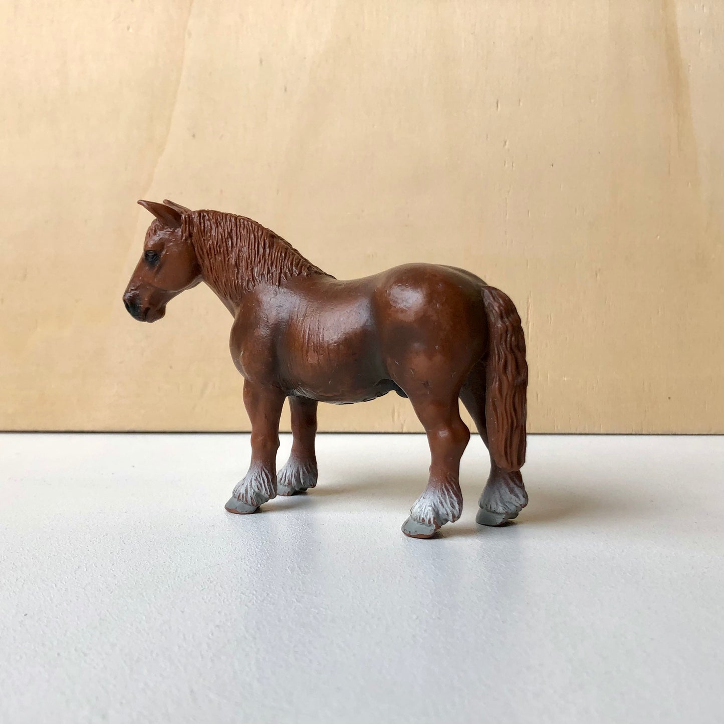 Hongre Cheval de trait