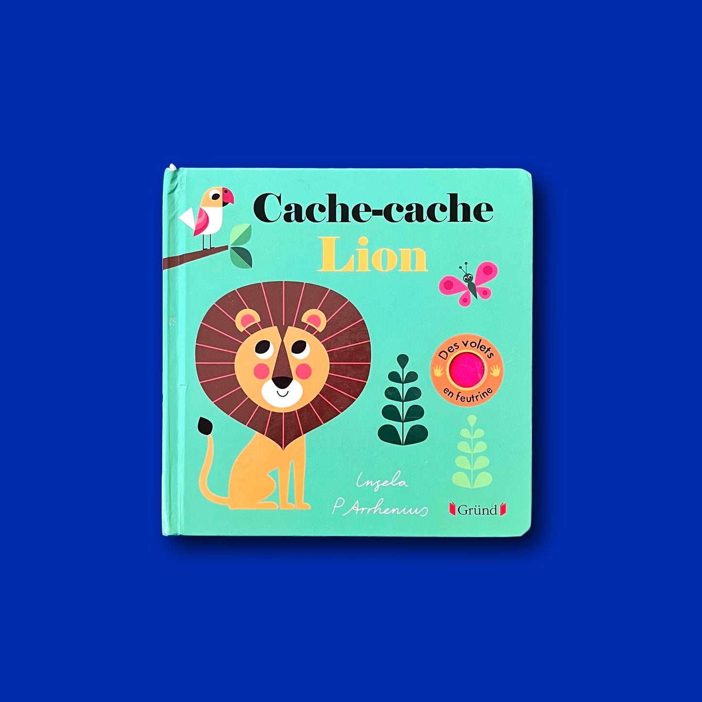 Cache-cache lion