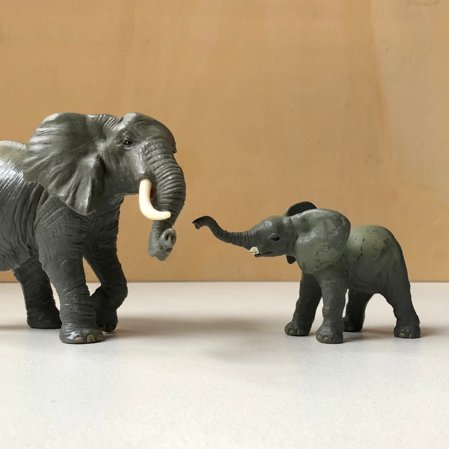 Éléphant et son petit