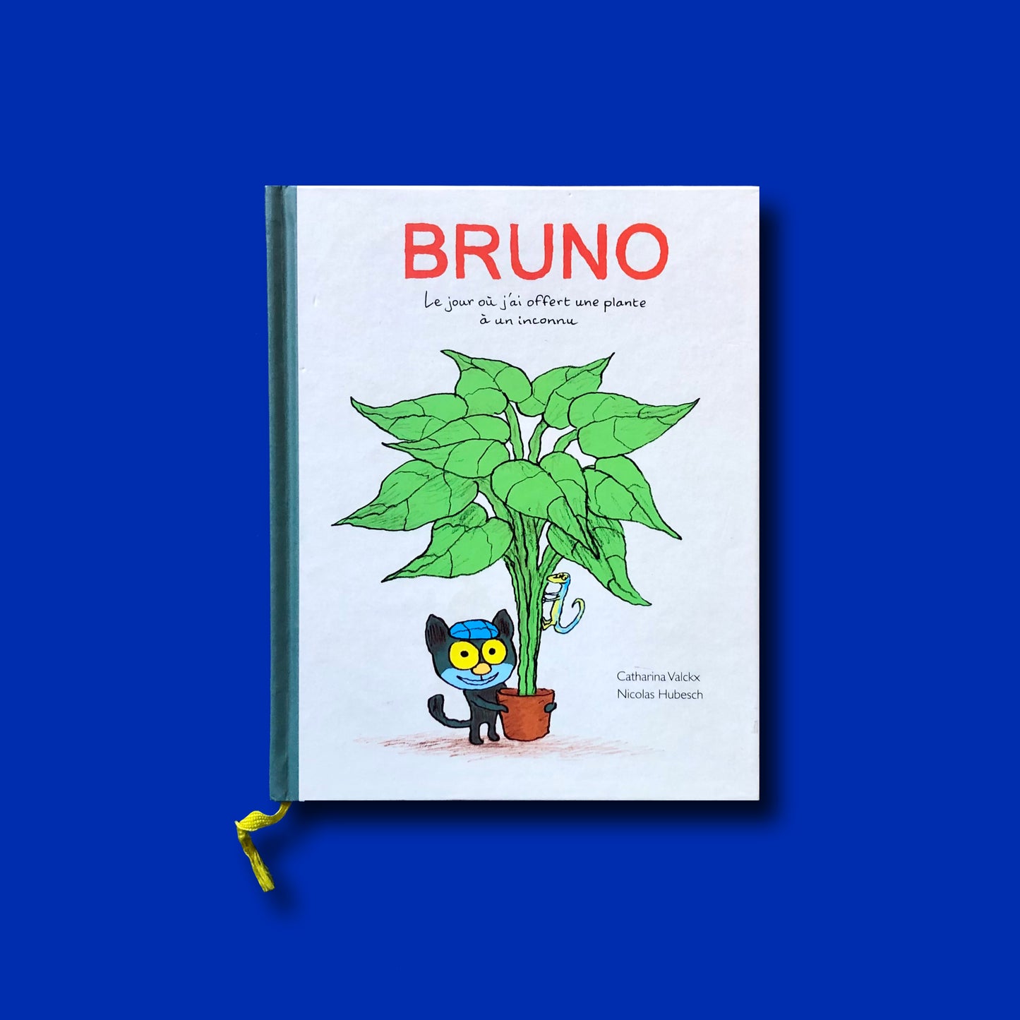 Bruno - Le jour où j'ai offert une plante à un inconnu