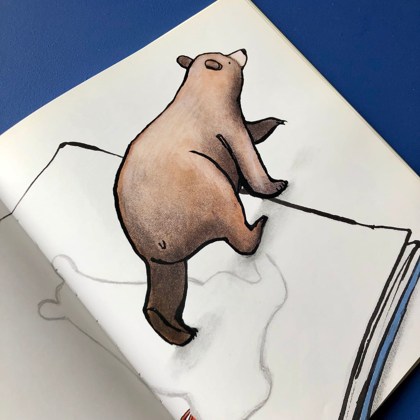 L'ours de la bibliothèque - Katie Cleminson