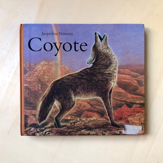 Coyote - Jacqueline Delaunay
